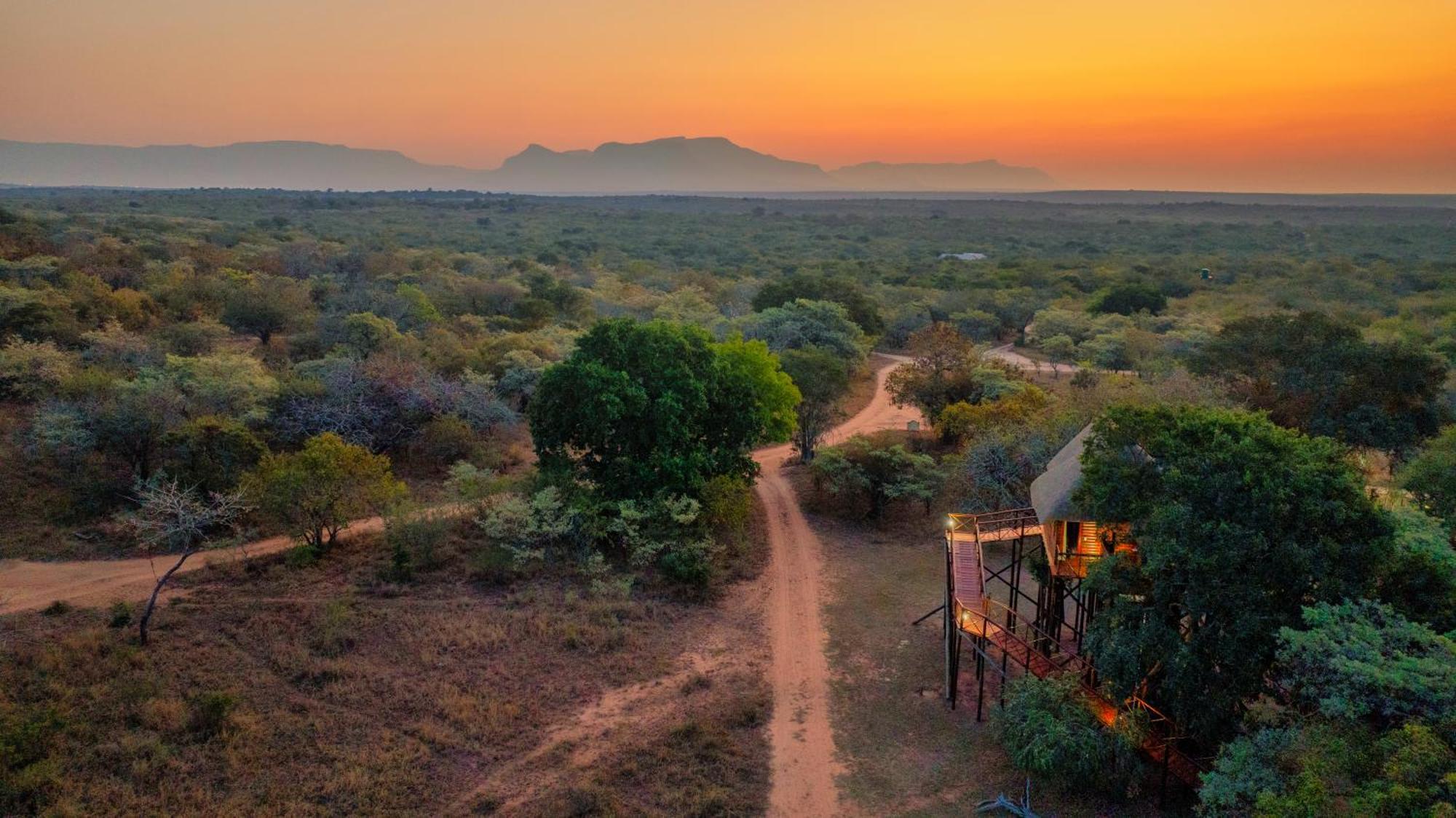 Pezulu Tree House Lodge Ходспруит Екстериор снимка