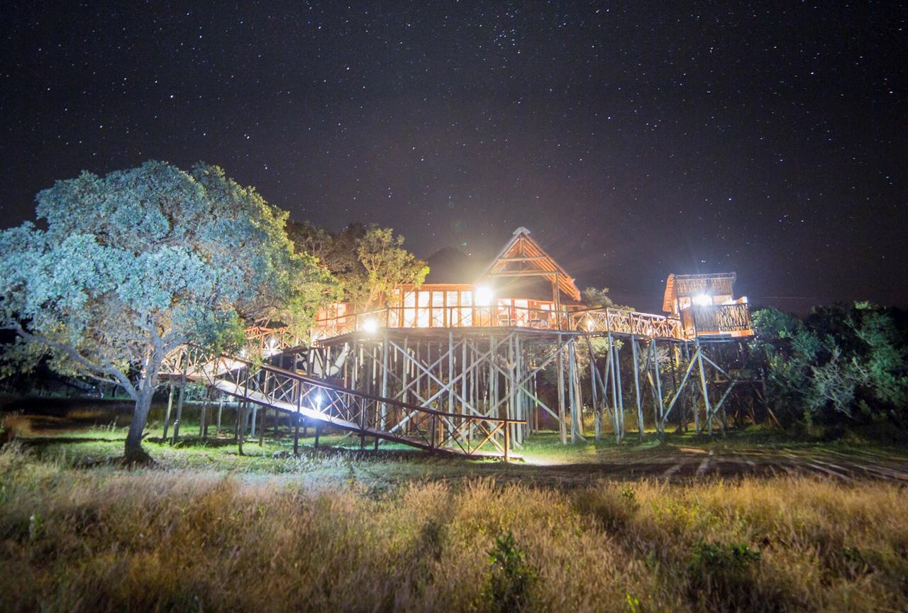 Pezulu Tree House Lodge Ходспруит Екстериор снимка