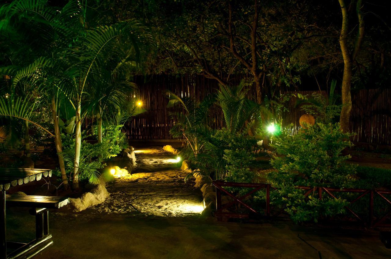 Pezulu Tree House Lodge Ходспруит Екстериор снимка
