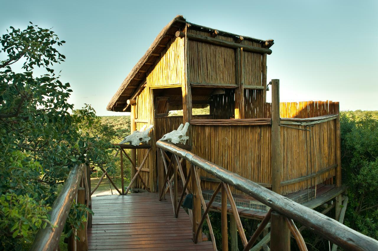 Pezulu Tree House Lodge Ходспруит Екстериор снимка