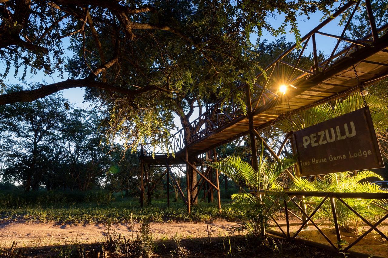 Pezulu Tree House Lodge Ходспруит Екстериор снимка