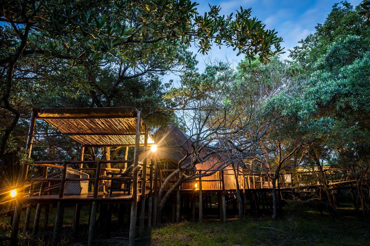 Pezulu Tree House Lodge Ходспруит Екстериор снимка