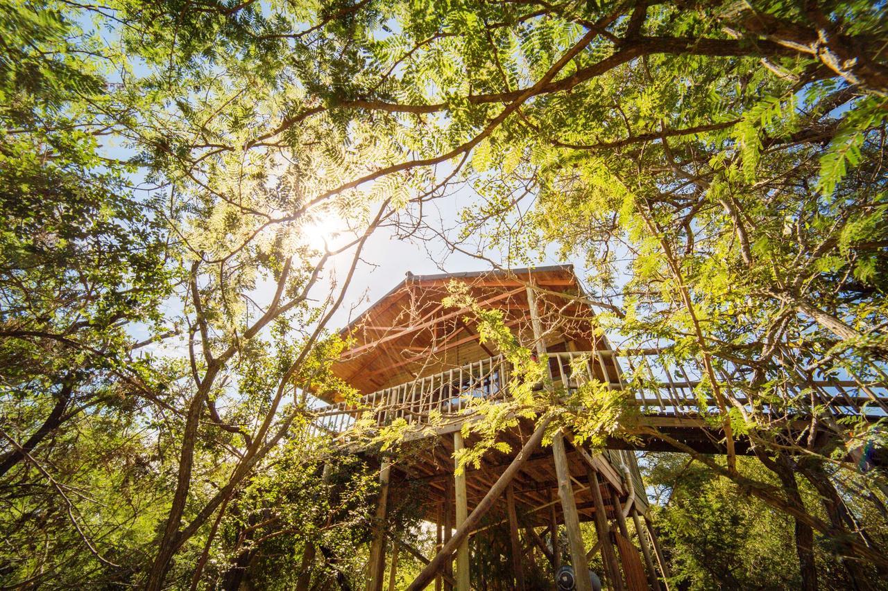 Pezulu Tree House Lodge Ходспруит Екстериор снимка