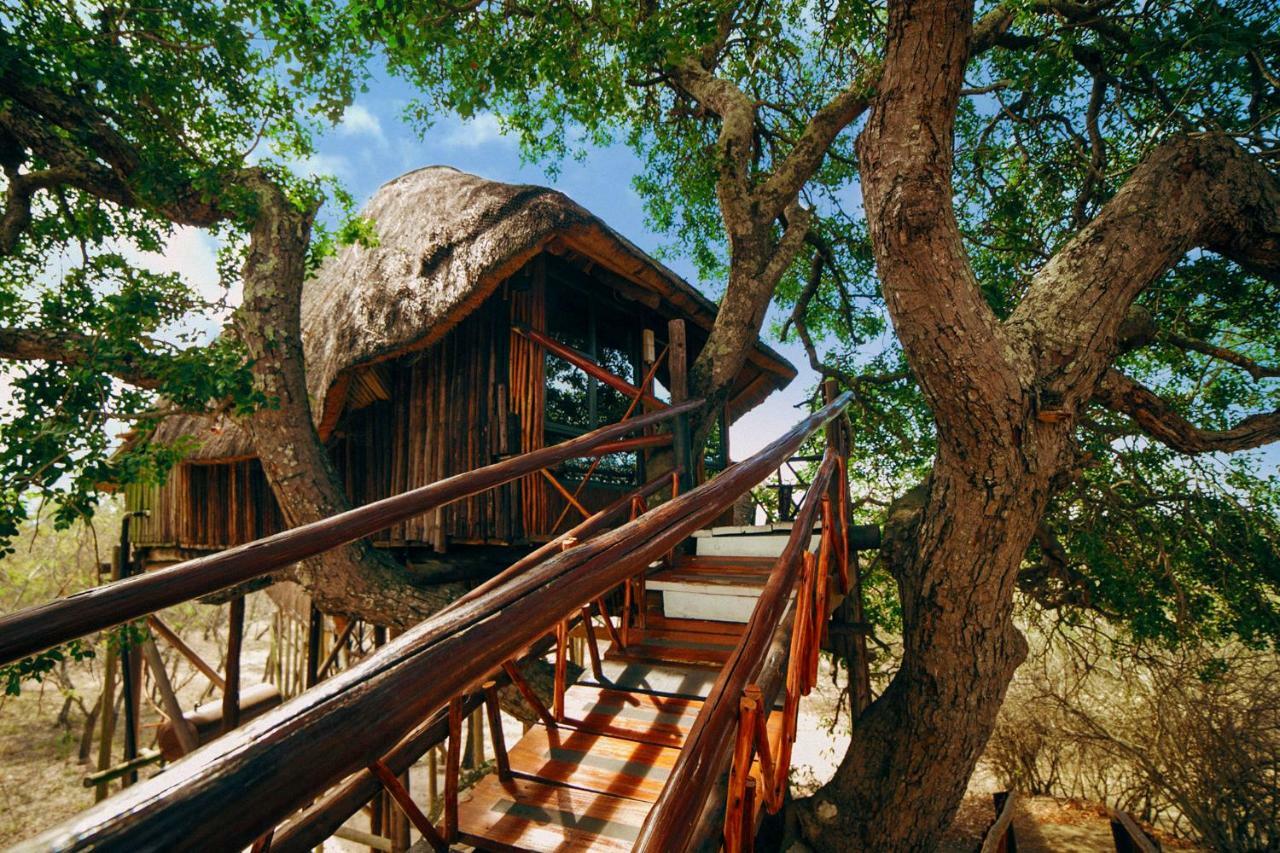 Pezulu Tree House Lodge Ходспруит Екстериор снимка