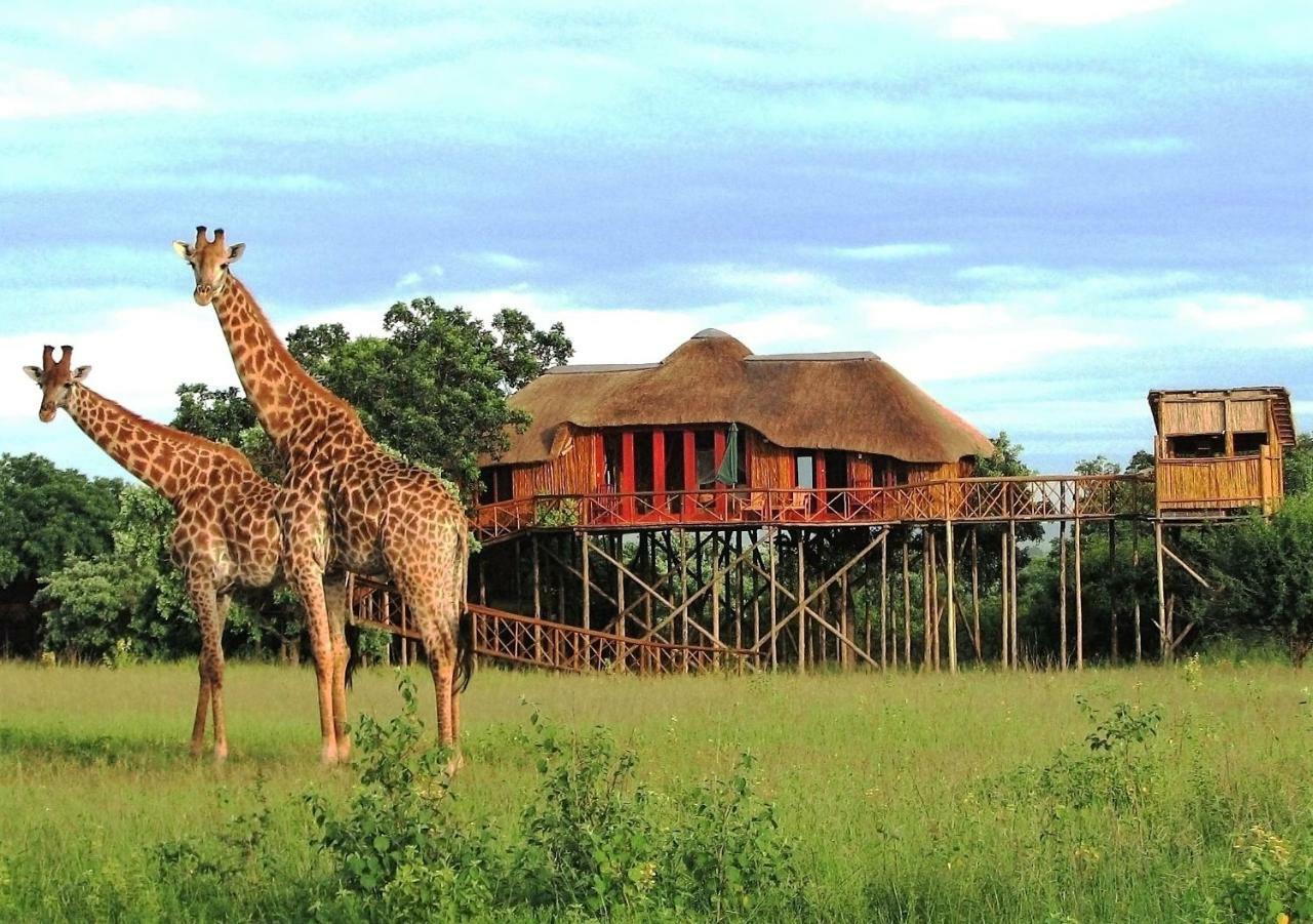 Pezulu Tree House Lodge Ходспруит Екстериор снимка