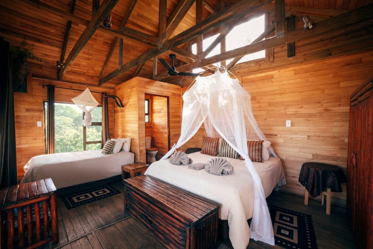 Pezulu Tree House Lodge Ходспруит Екстериор снимка