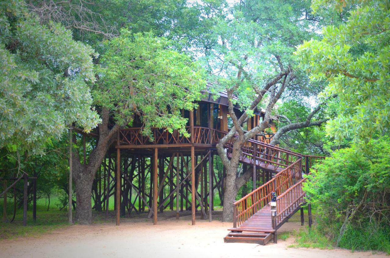 Pezulu Tree House Lodge Ходспруит Екстериор снимка
