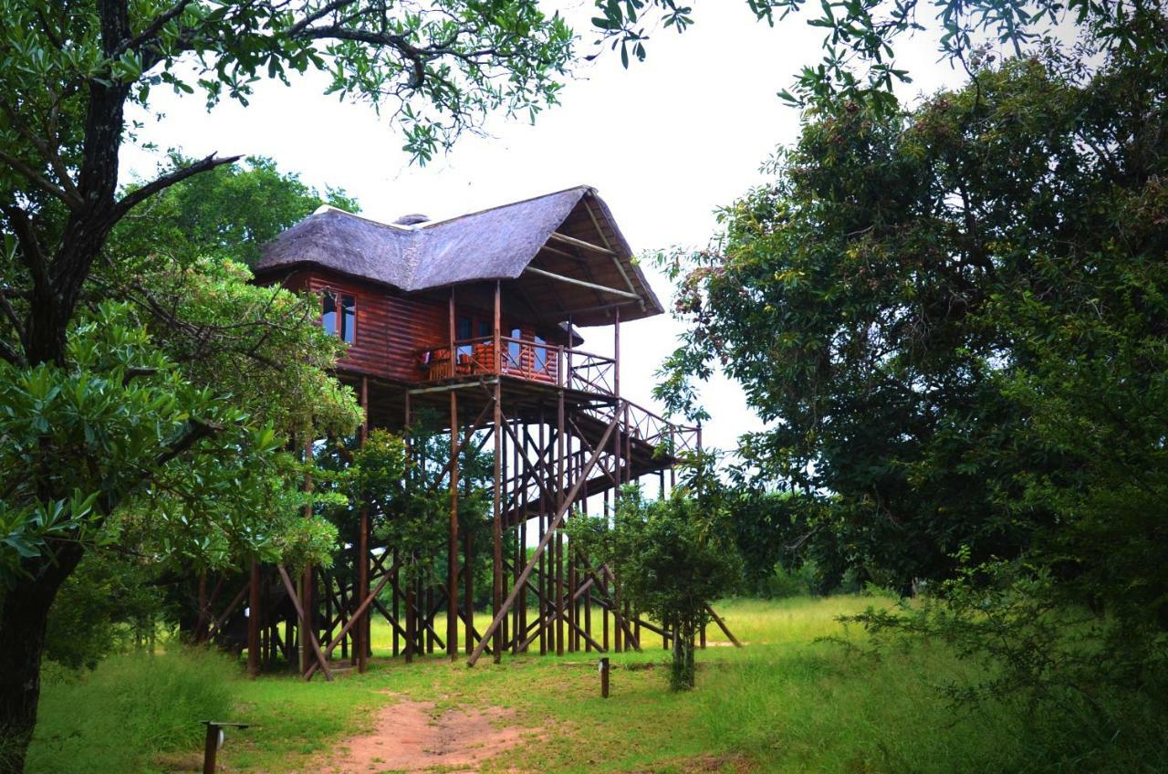 Pezulu Tree House Lodge Ходспруит Екстериор снимка