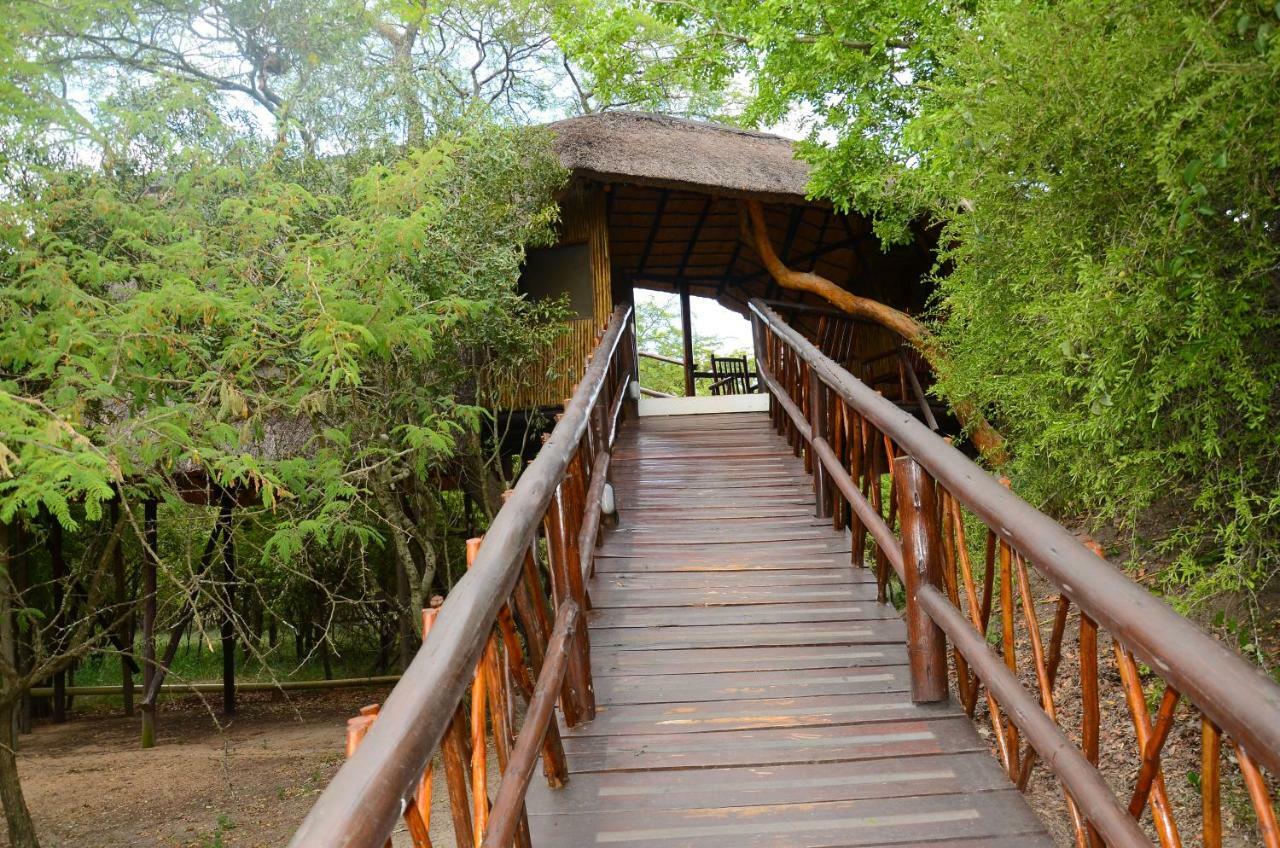 Pezulu Tree House Lodge Ходспруит Екстериор снимка