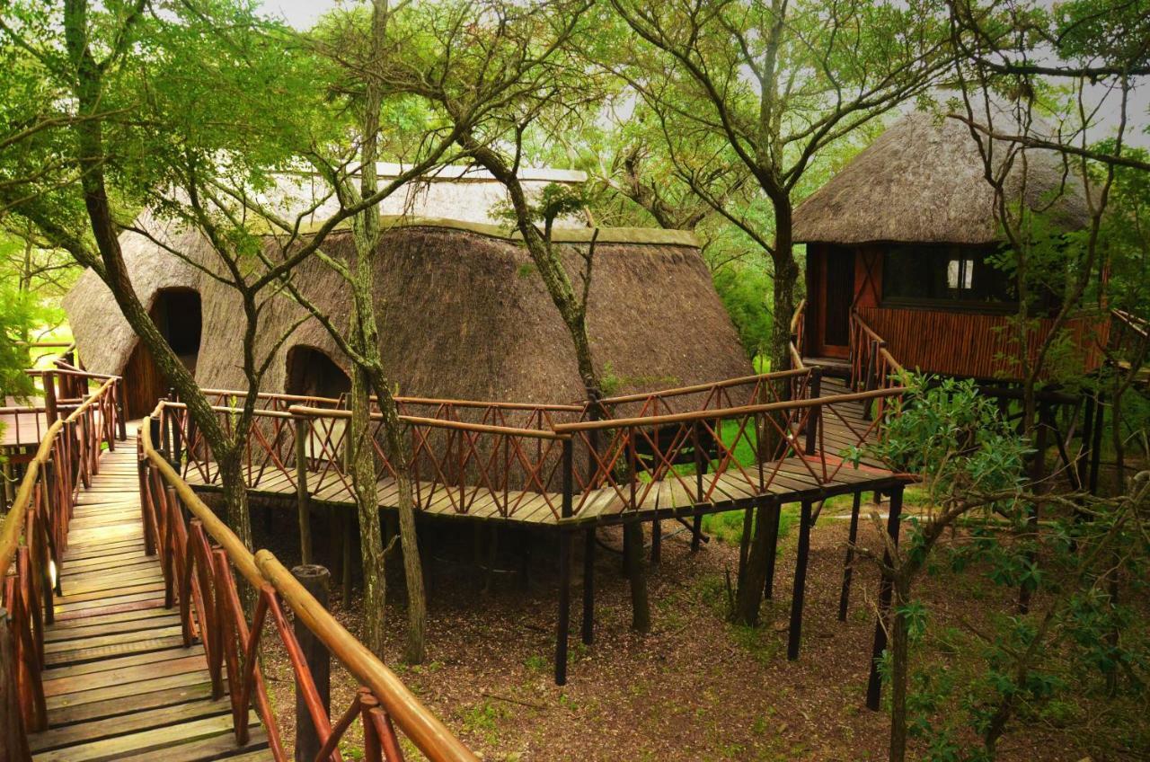 Pezulu Tree House Lodge Ходспруит Екстериор снимка