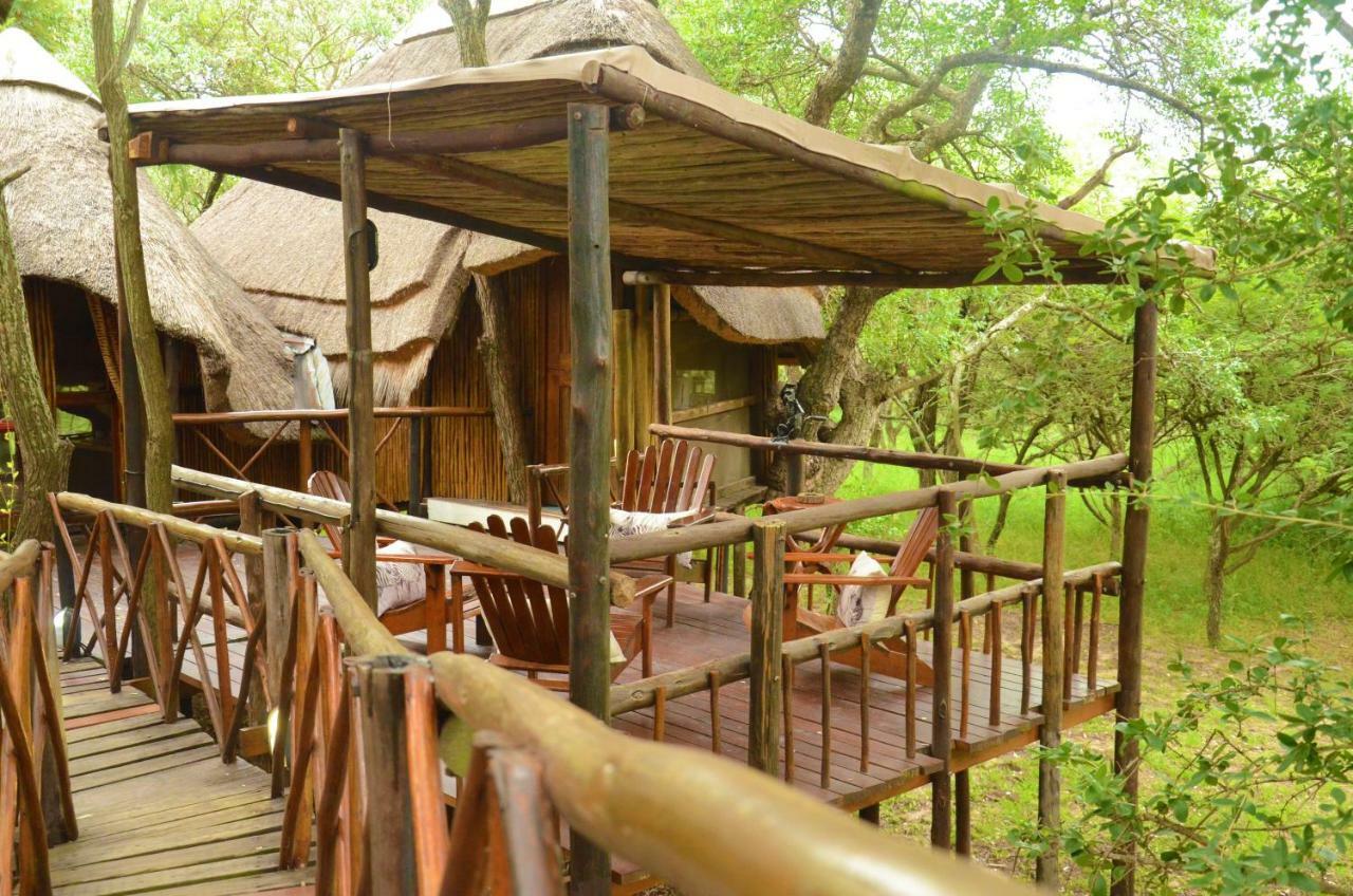 Pezulu Tree House Lodge Ходспруит Екстериор снимка