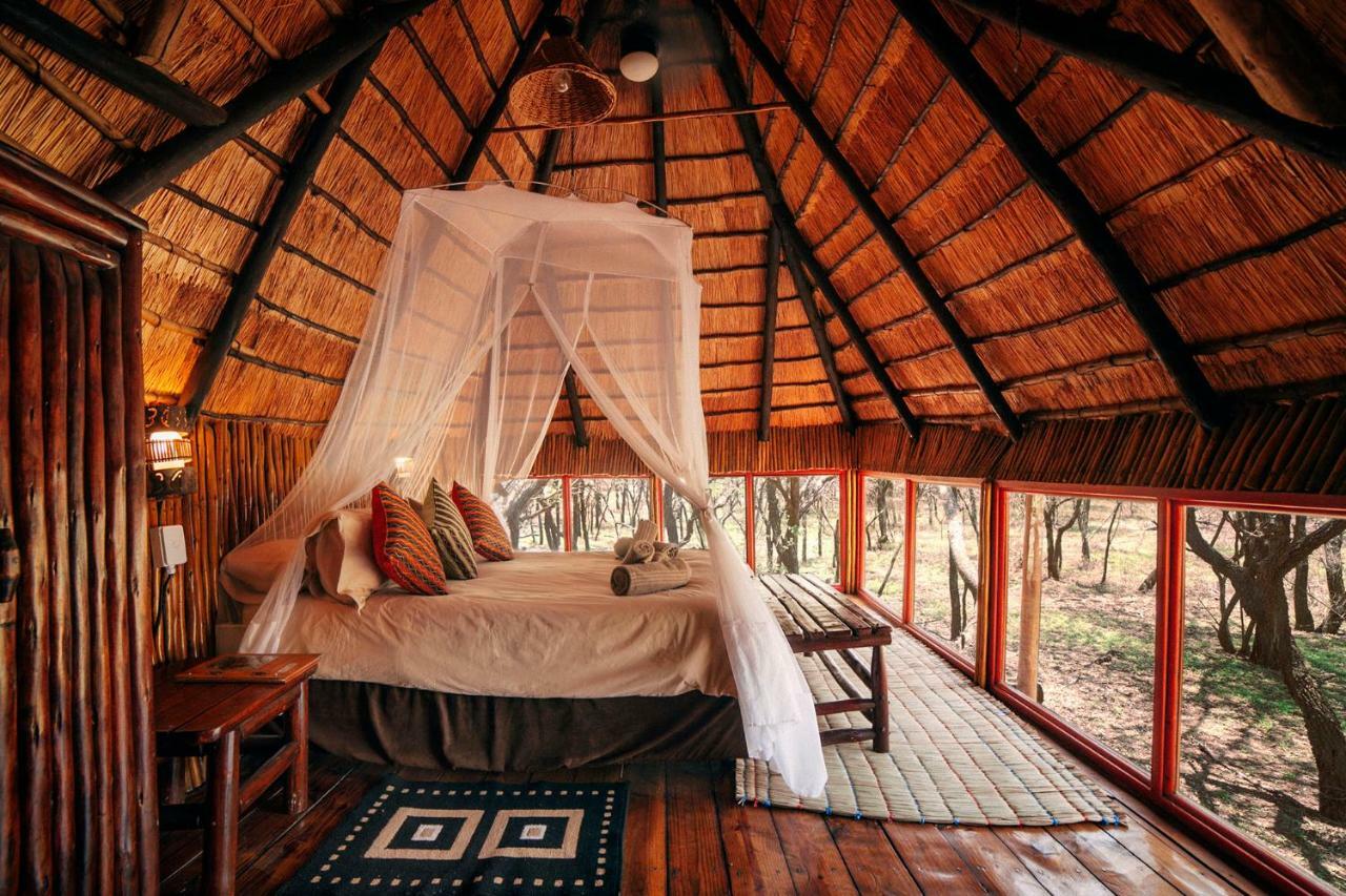 Pezulu Tree House Lodge Ходспруит Екстериор снимка