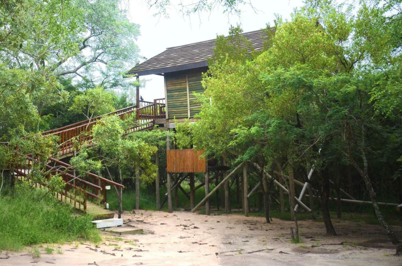Pezulu Tree House Lodge Ходспруит Екстериор снимка