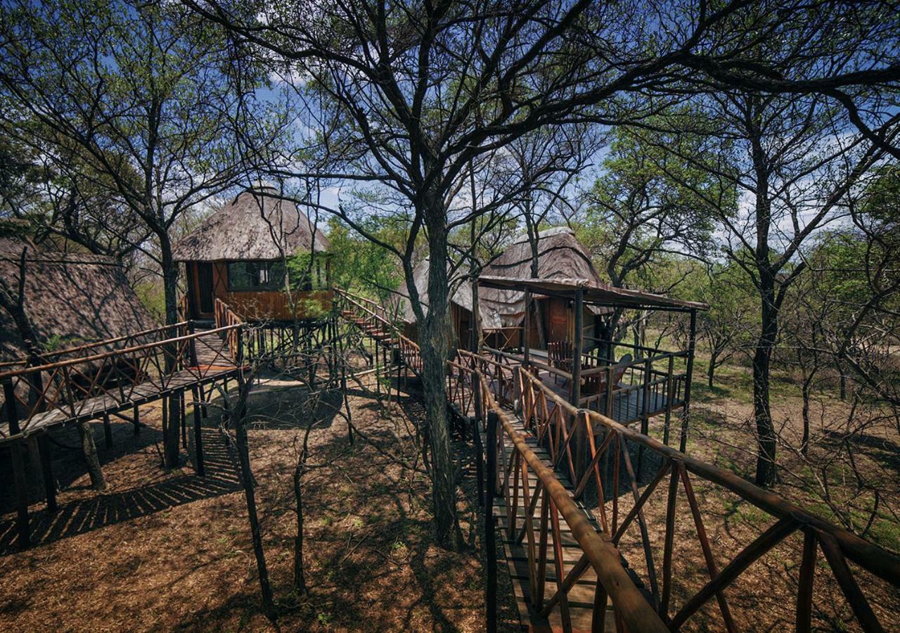 Pezulu Tree House Lodge Ходспруит Екстериор снимка